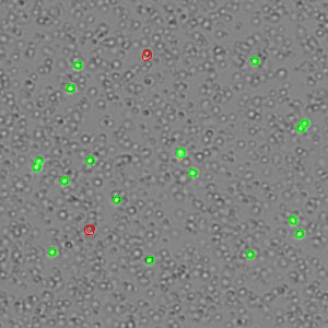 Cell Counting Assays