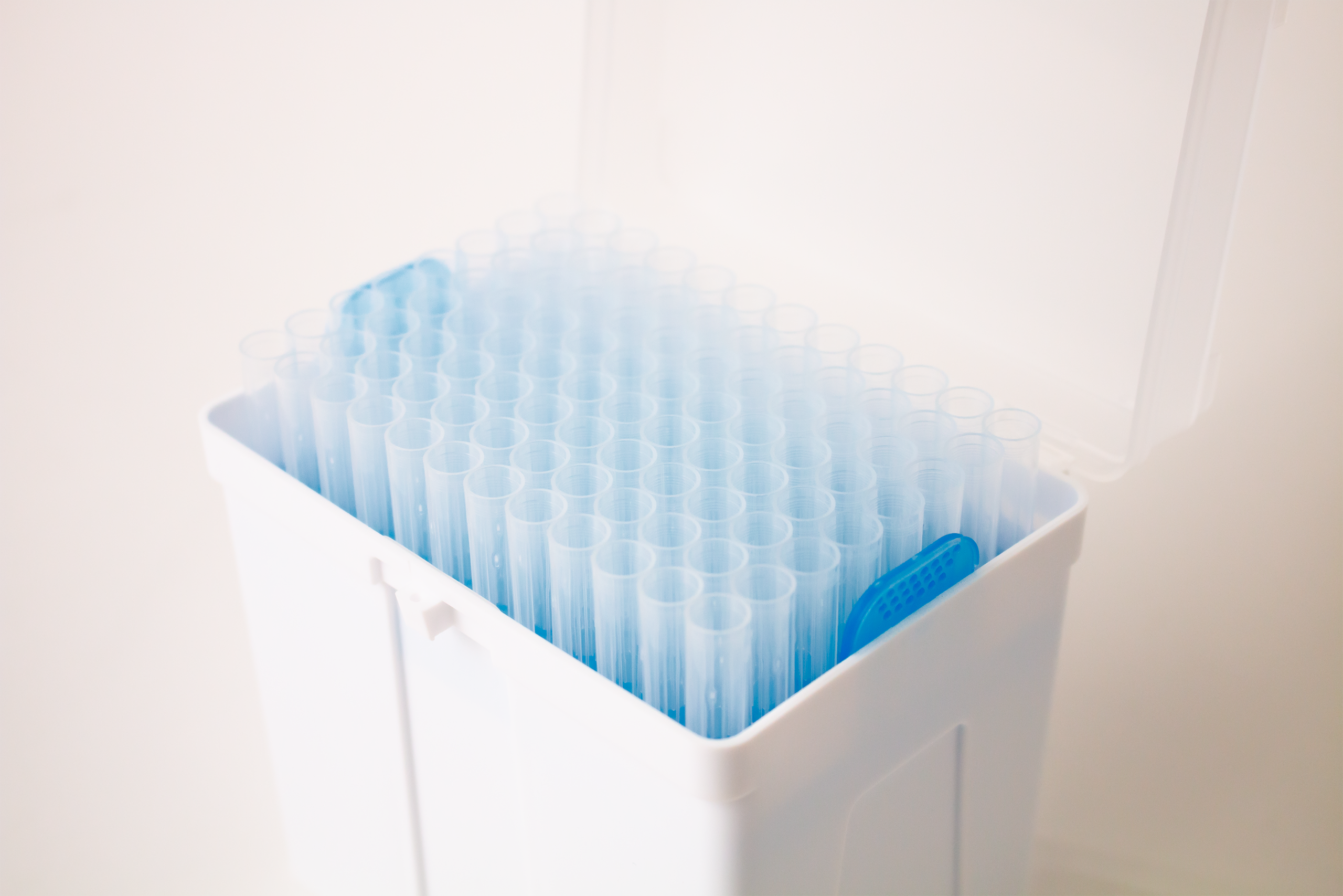 1000 µL Pipette Tips – DeNovix Webstore